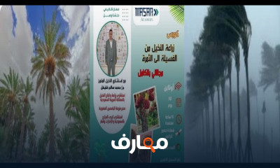 زراعة وانتاج النخيل