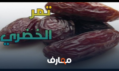 دراسة جدوي زراعة النخيل