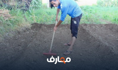 تجهيز الأحواض لزراعة الشتلات