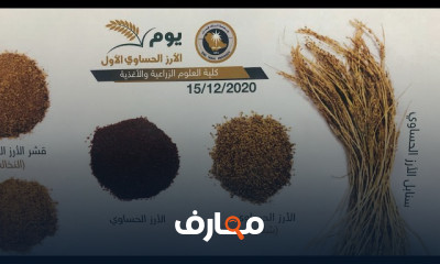 الأرز الحساوي