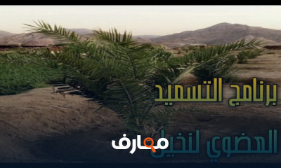 ري وتسميد النخيل