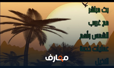 مراحل إنتاج الفسائل النسيجية