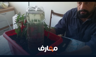 طريقة ري النباتات