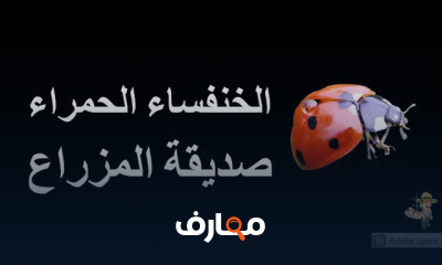 الحشرات الصديقة للمزارع