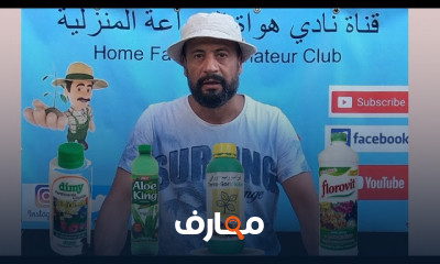 الإجهاد في النبات