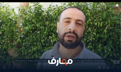 طريقة زيادة الاثمار في الخوخ