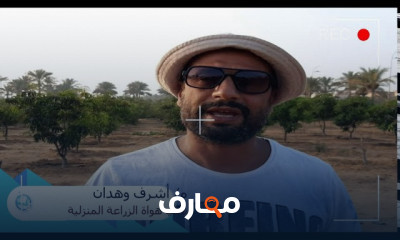 طريقة تقليم العنب
