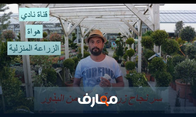 زراعة الموز من البذور