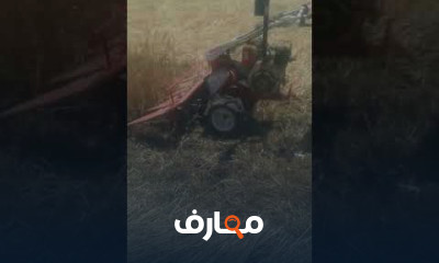زراعة القمح