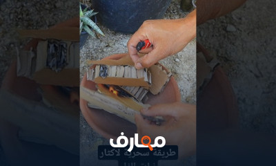 طريقة اكثار نبات الفل