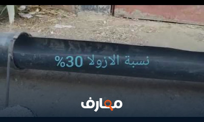 زراعة الأزولا هيدروبونيك