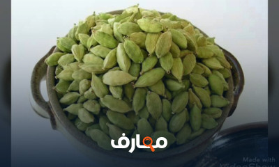 طريقة زراعة الحبهان