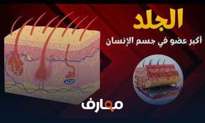 أحياء تانية ثانوي ترم ثاني
