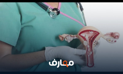 تشريح الجهاز التناسلي