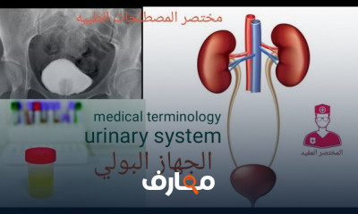مصطلحات طبية للجهاز البولي