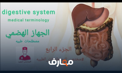 مصطلحات طبية للجهاز الهضمي