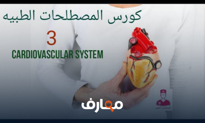 مصطلحات طبية للجهاز الدوري