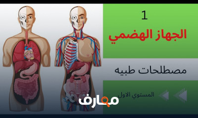 مصطلحات طبية للغدد الصماء