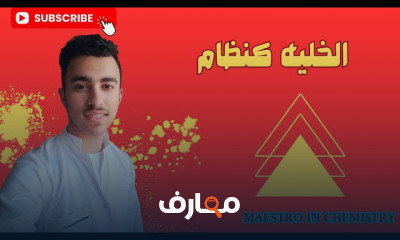 منهج الصف السادس 2026