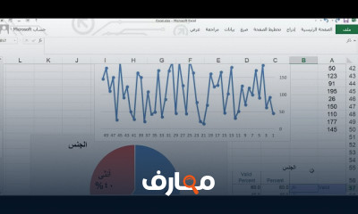 التحليل الإحصائي عبر Excel