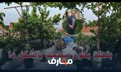 زراعة الأسطح والمساحات الصغيرة