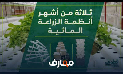 زراعة مائية