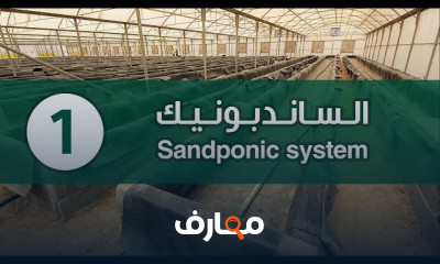 الزراعة بنظام الساندبونيك