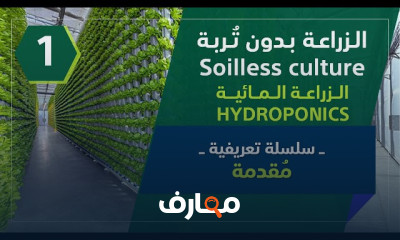 الزراعة بدون تربة
