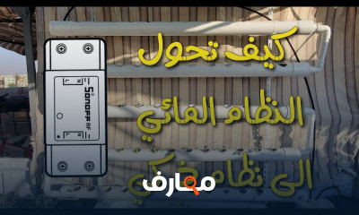 الزراعة المائية في المنزل