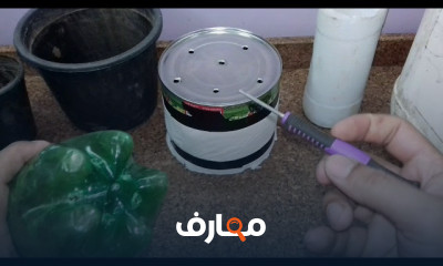 الزراعة في المنزل للمبتدئين