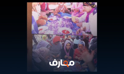 زراعة الزعفران