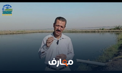 الاستزراع السمكي فى مصر