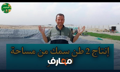 إدارة مشروعات الإستزراع السمكي