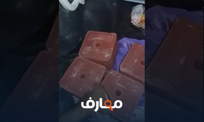 مشروع تسمين الأغنام