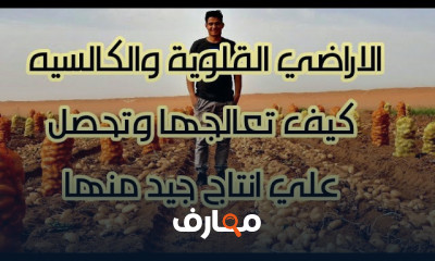 الأراضي القلوية والكالسيه