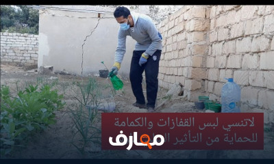 طريقة وضع السماد للنبات