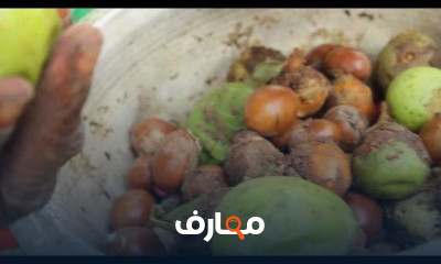صناعة زبدة الشيا
