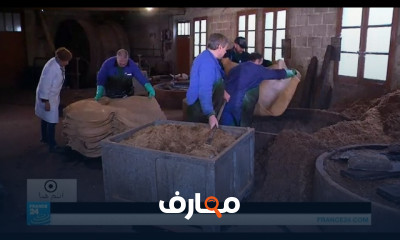 صناعة الجلود