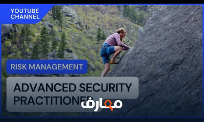 استراتجيات Risk Mitigation