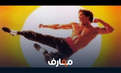 اساليب وحركات الفنون القتالية