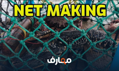 صيانة شباك الصيد