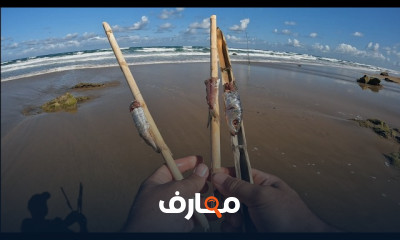 الصيد بالقصبة