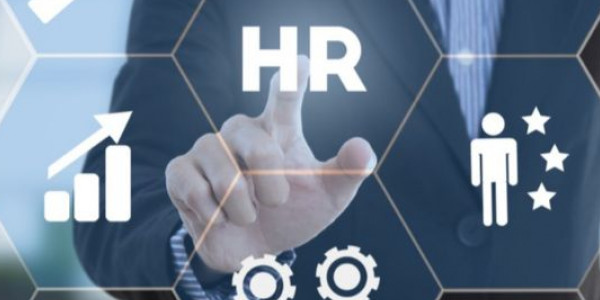 تدريب مدفوع الأجر للخريجين في مجال الموارد البشرية لمدة 3 شهور