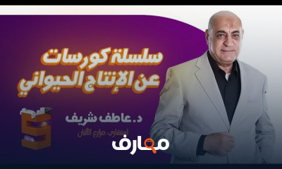الإنتاج الحيواني