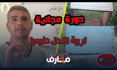 النحل والمناحل