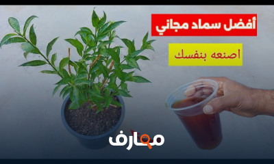 طريقة عمل الأسمدة بالمنزل