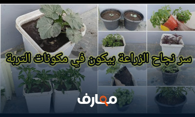 اختيار التربة المناسبة للزراعة