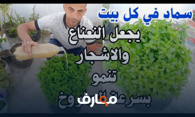 كيفية تحضير الأسمدة العضوية