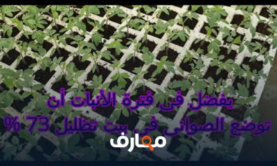 المشتل والشتلات