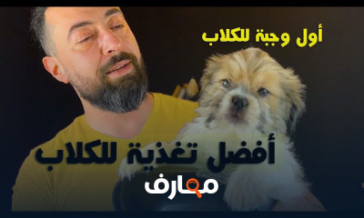 تربية الكلاب في البيت
